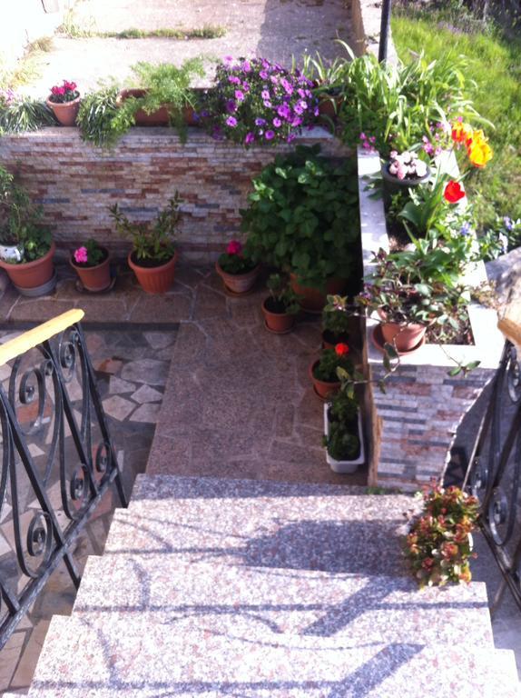 Apartment Magdic Brzac Luaran gambar